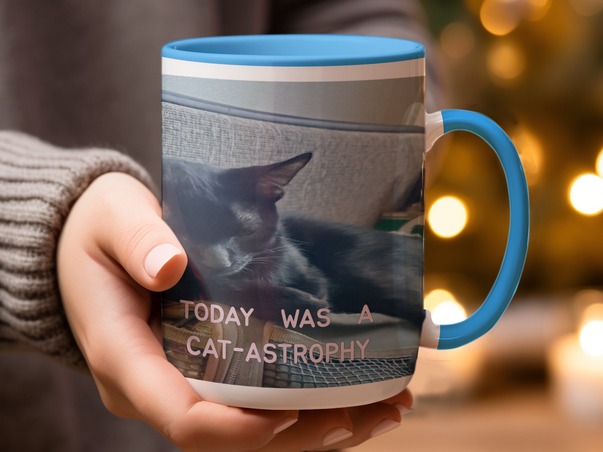 eb0fd479-8bde-456d-8cce-a0a9771741cc