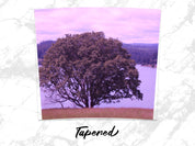 eb6b2a9e-4e27-4e14-99ad-81a36d2c52d3