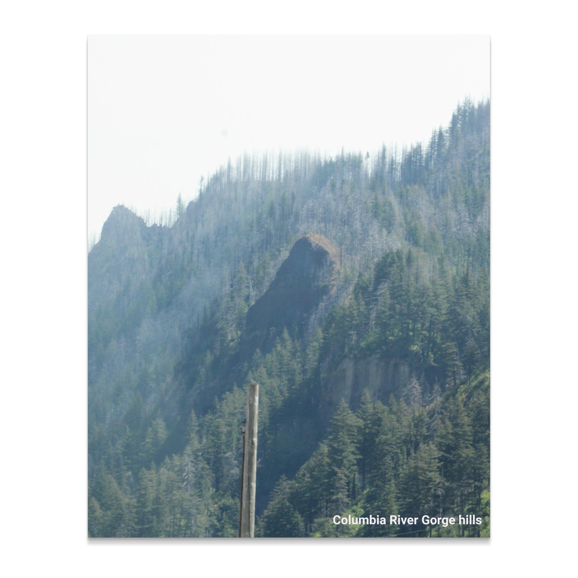 ec0a3366-c85c-4516-83d9-794c323172a3