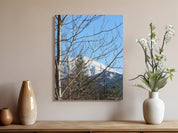 ecc2c755-6a58-4d38-8d55-482657c26cd3