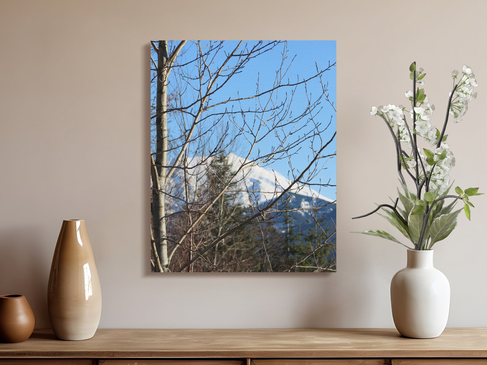 ecc2c755-6a58-4d38-8d55-482657c26cd3