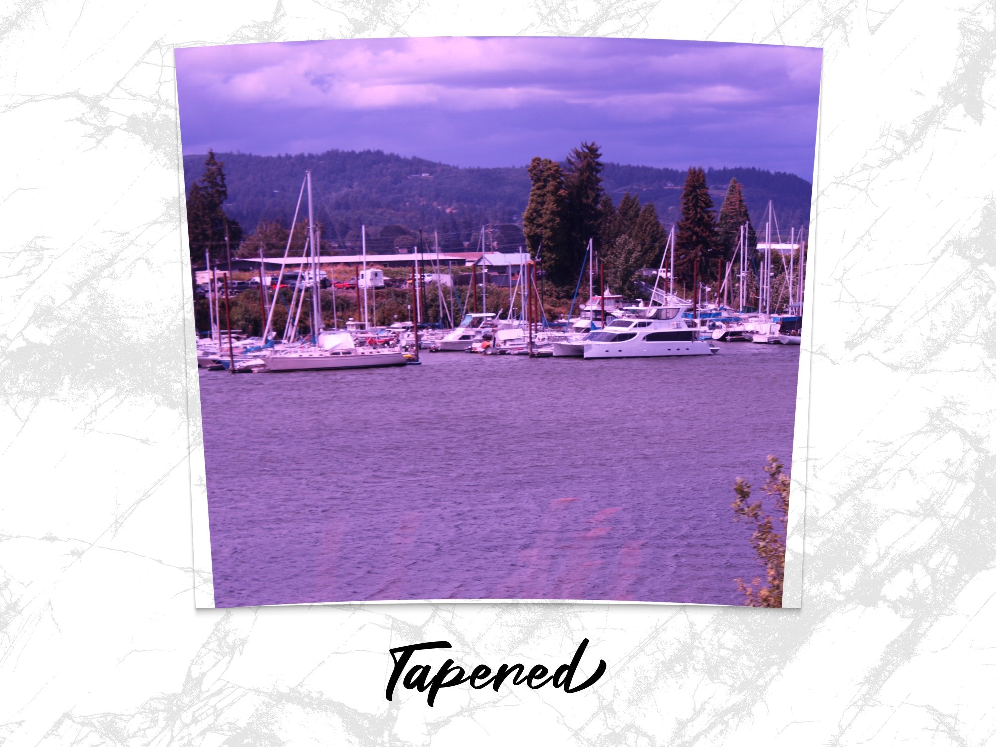 ecc63e26-10f4-4902-be2b-30f64f9326a8