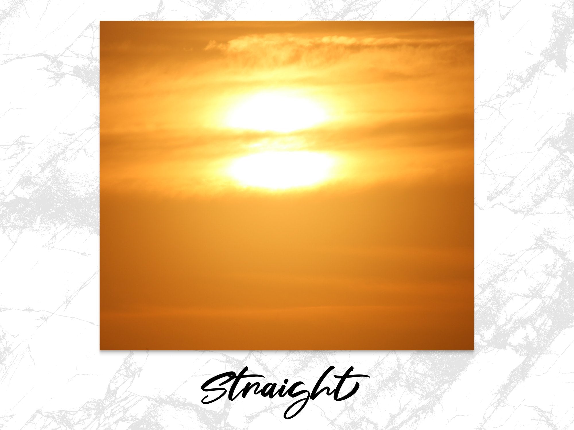 ed69b1c4-33fd-4702-bd16-2e561c98b72d