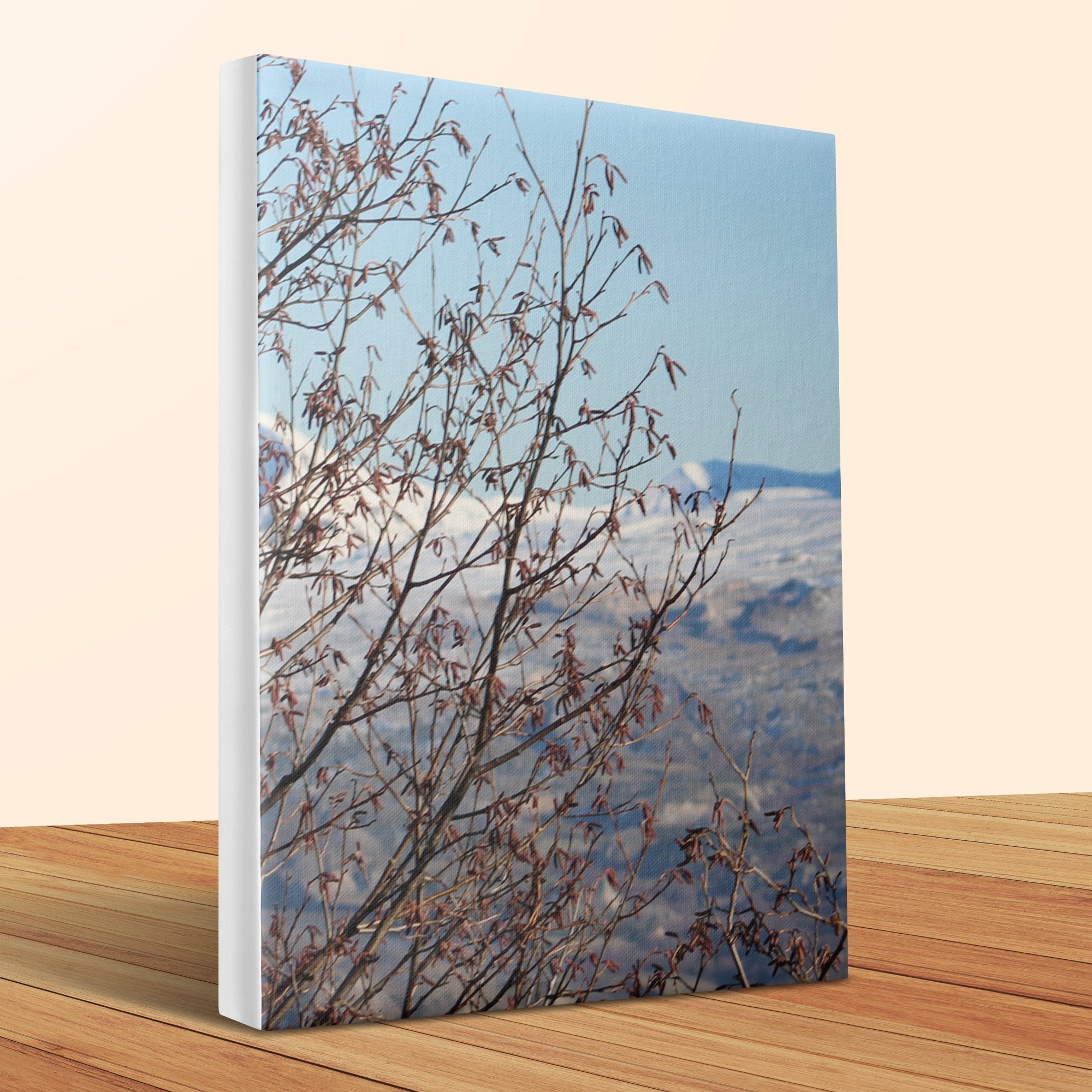 eea3a00e-1856-4402-bfc7-45872c6445f3