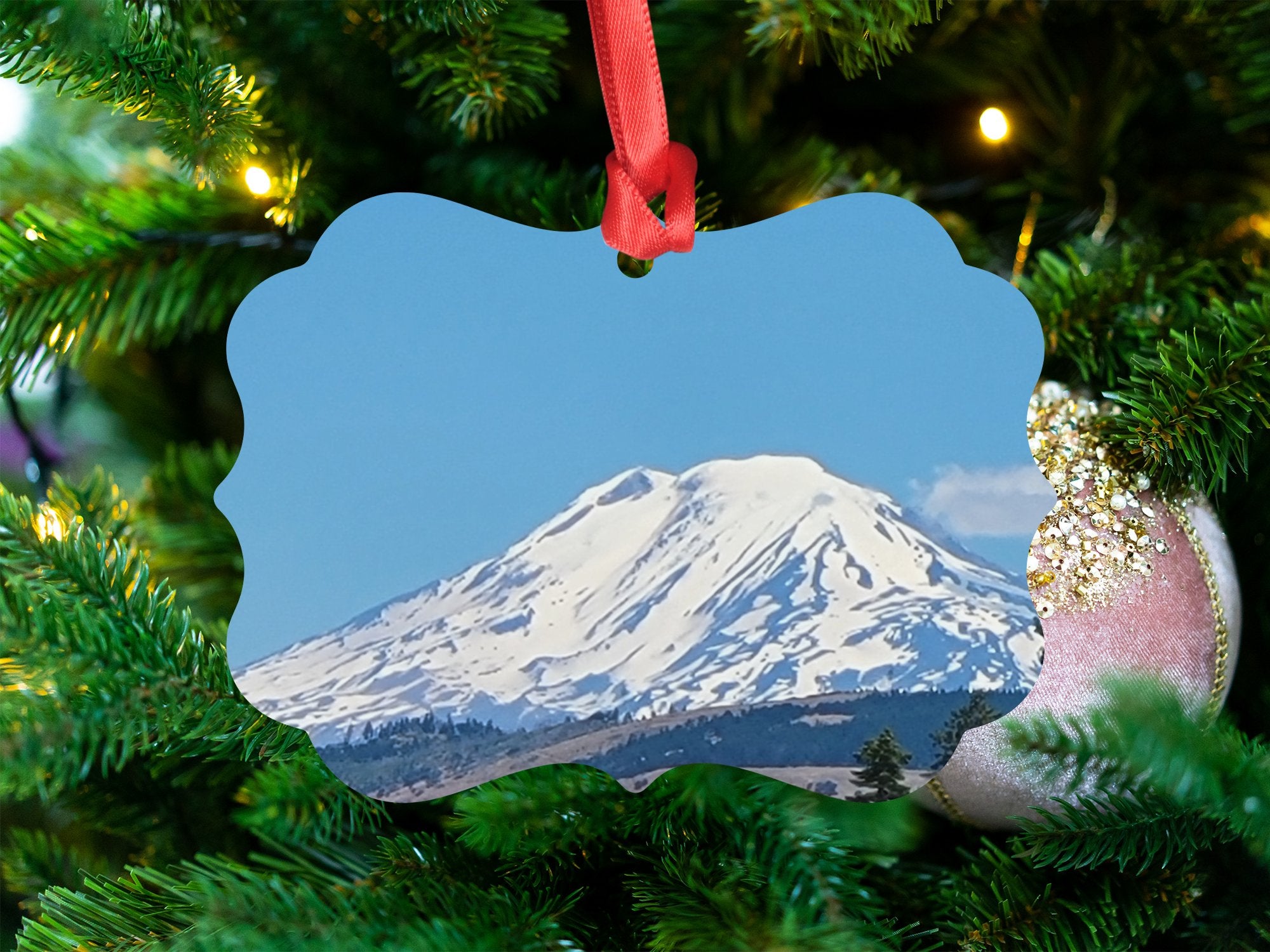 ef20cb9e-531d-42ed-a305-c5f9a7ccaa95