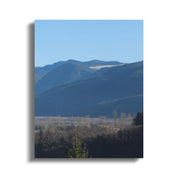 ef5941c1-f096-451a-bd4d-f08f3d4b2de4