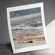 effa8c93-bd41-4540-a9a3-423e53d7182f