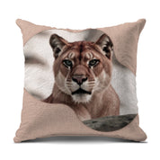 f1e0c2f8-80a2-41b6-b571-7ace2b9dfd74