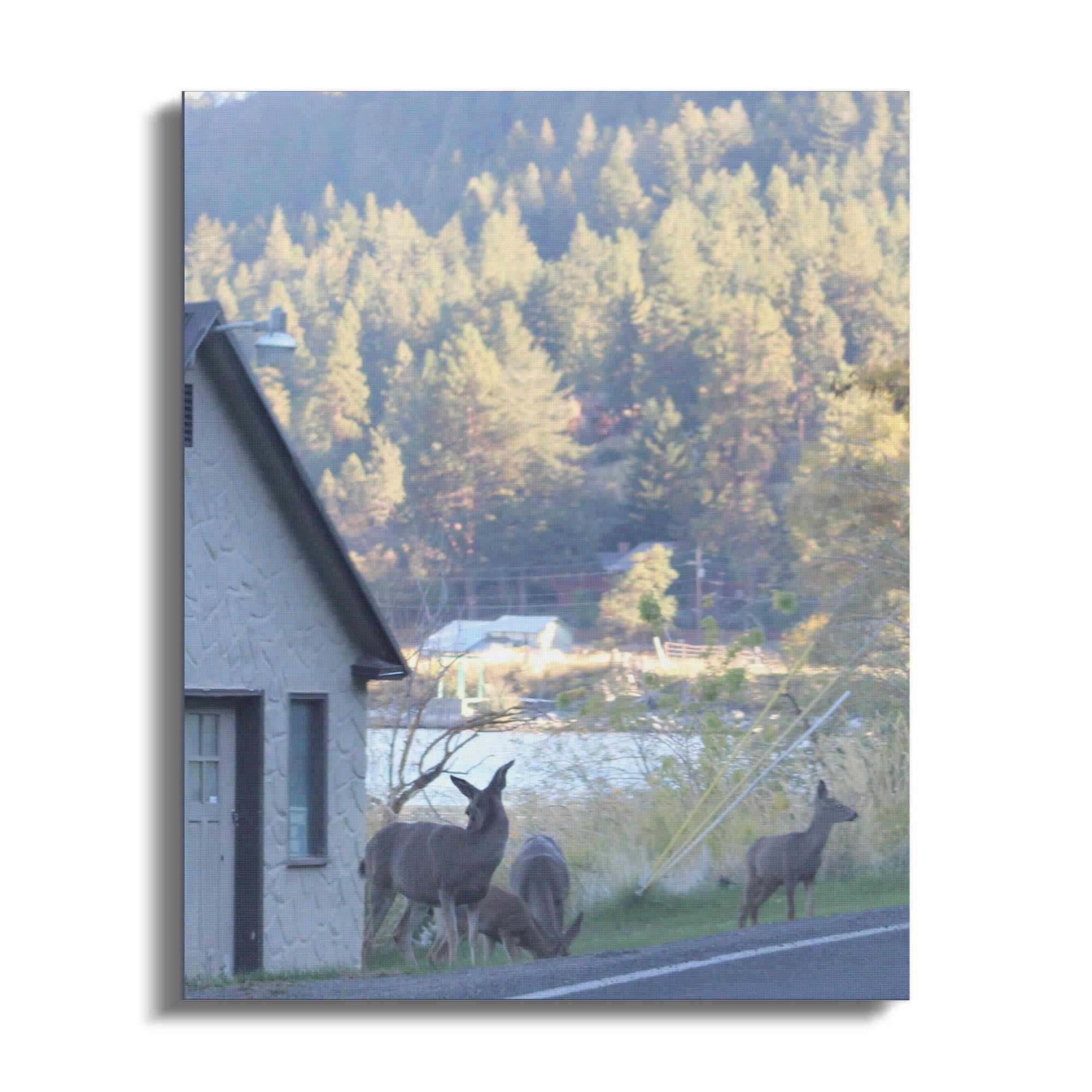 f29cfb61-ae7c-46c9-a4ad-6e7a253ad68a