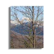 f321ec32-90e3-4dc8-899f-086ff56c3d28