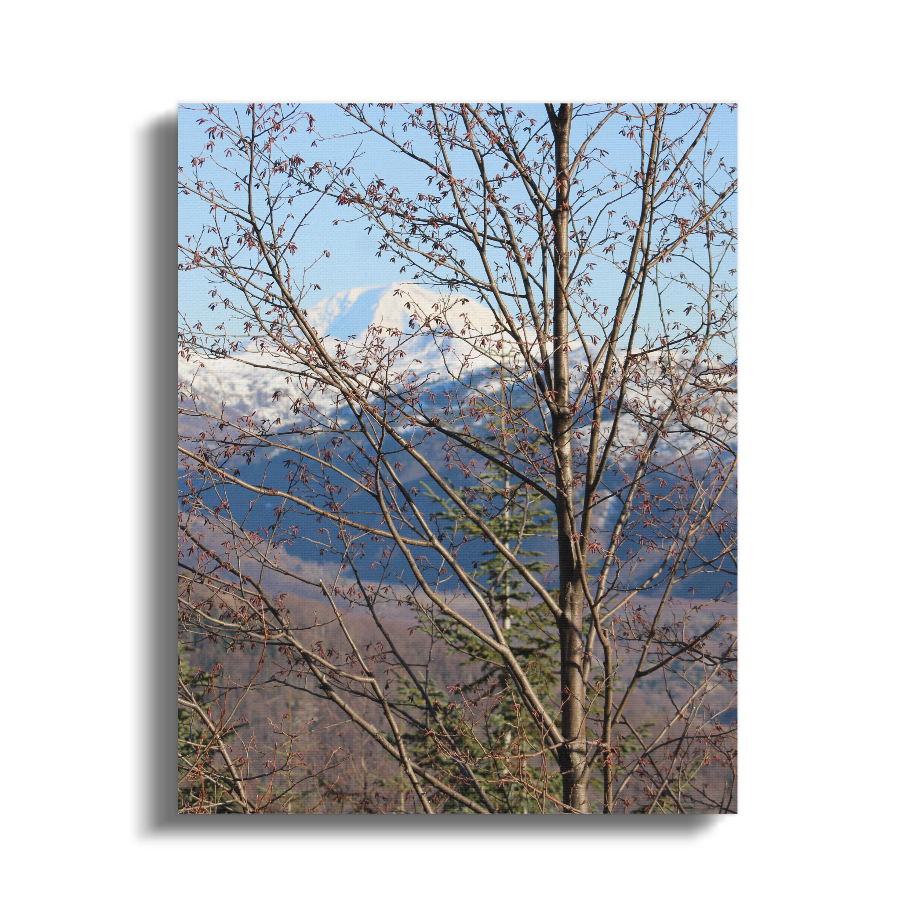 f321ec32-90e3-4dc8-899f-086ff56c3d28