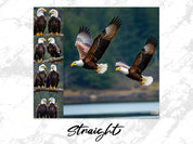 f345ae08-9931-4621-acd4-e37070497f7f