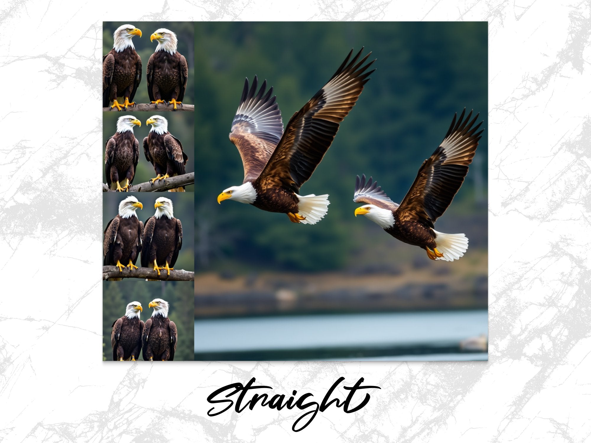 f345ae08-9931-4621-acd4-e37070497f7f