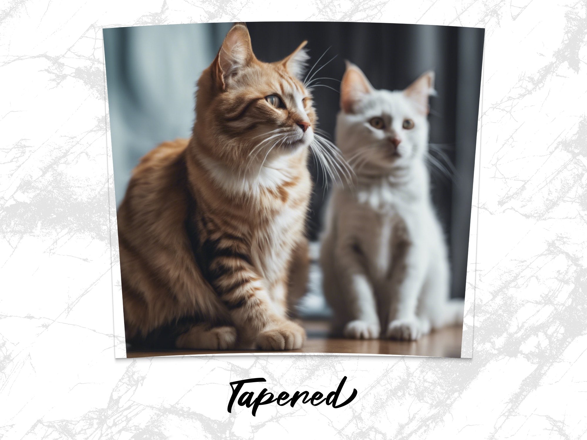 f4176e34-6a78-4847-b131-47af95ab8339