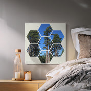 f445b31f-dee8-446e-bc70-b39a604c72b6