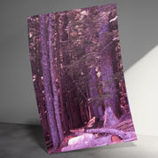 f4650581-155c-4bdd-b24e-f1e8f7a388ab