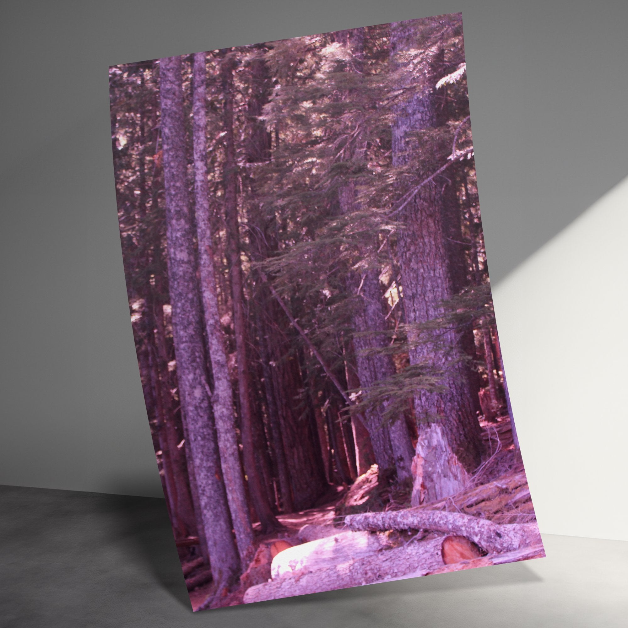 f4650581-155c-4bdd-b24e-f1e8f7a388ab