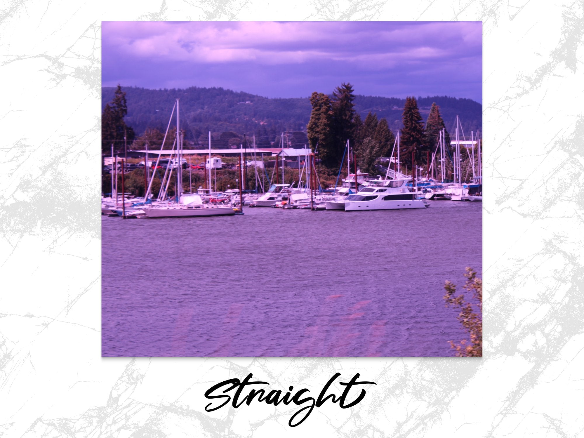 f484f50a-6ace-4407-abf1-50bf56b65717