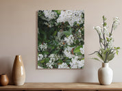 Beautiful White Flowers Canvas Wall Art product type