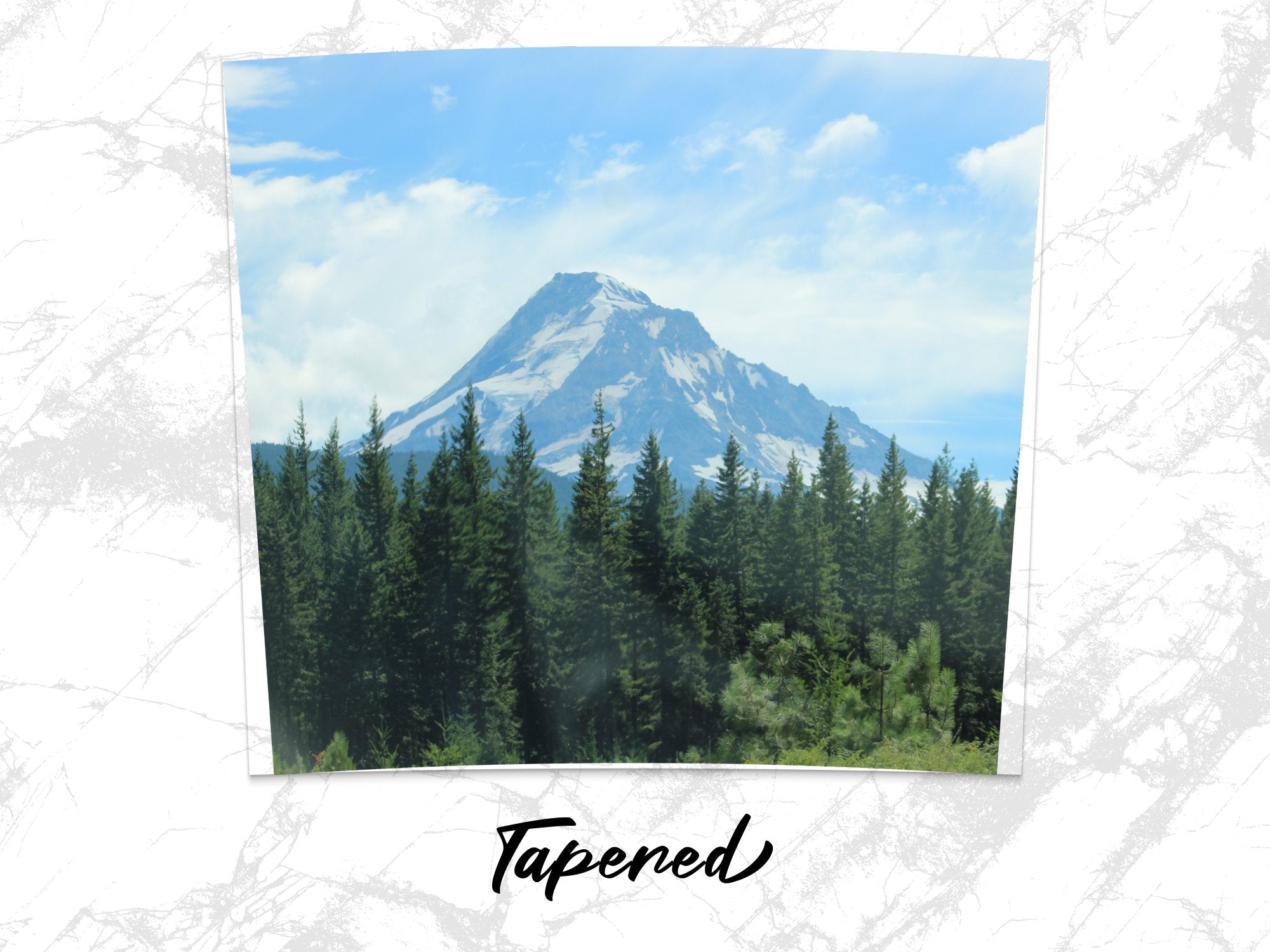 f4c39e08-248c-48c1-9a4c-1171dca08742