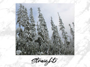 f4d2723e-bac7-47a7-ba51-93d3d5bdd521