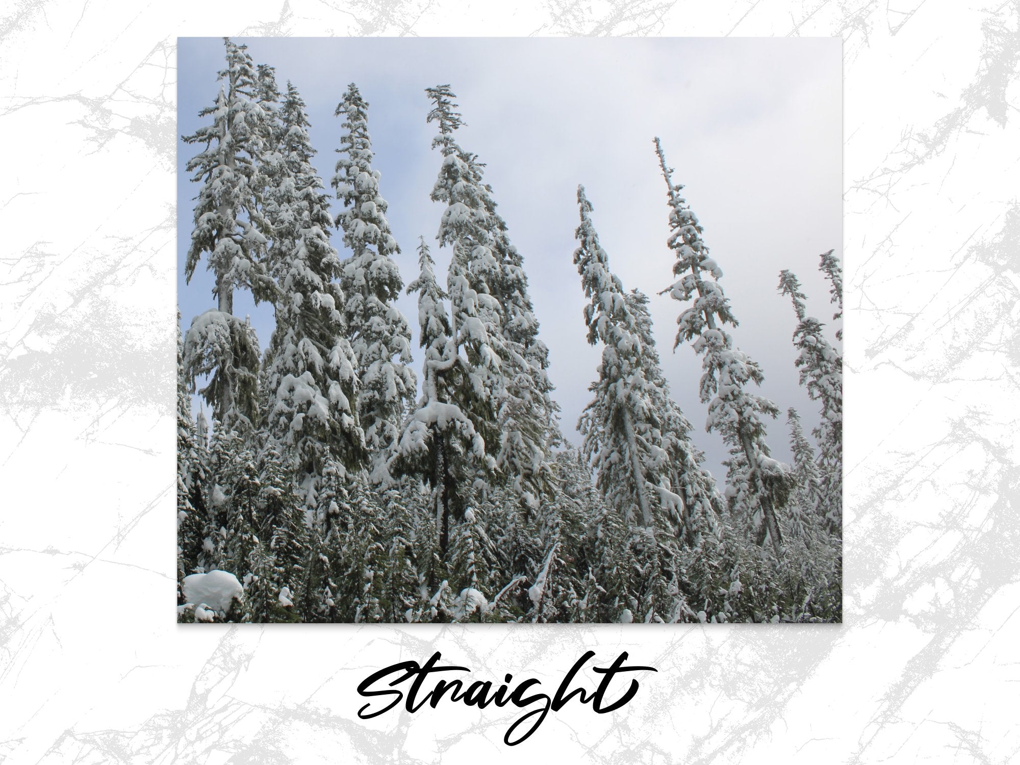 f4d2723e-bac7-47a7-ba51-93d3d5bdd521