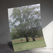 Beautiful Nature Landscape Poster,  Wall Decor, Green Field and Trees, Tranquil Nature Scene, Unframed