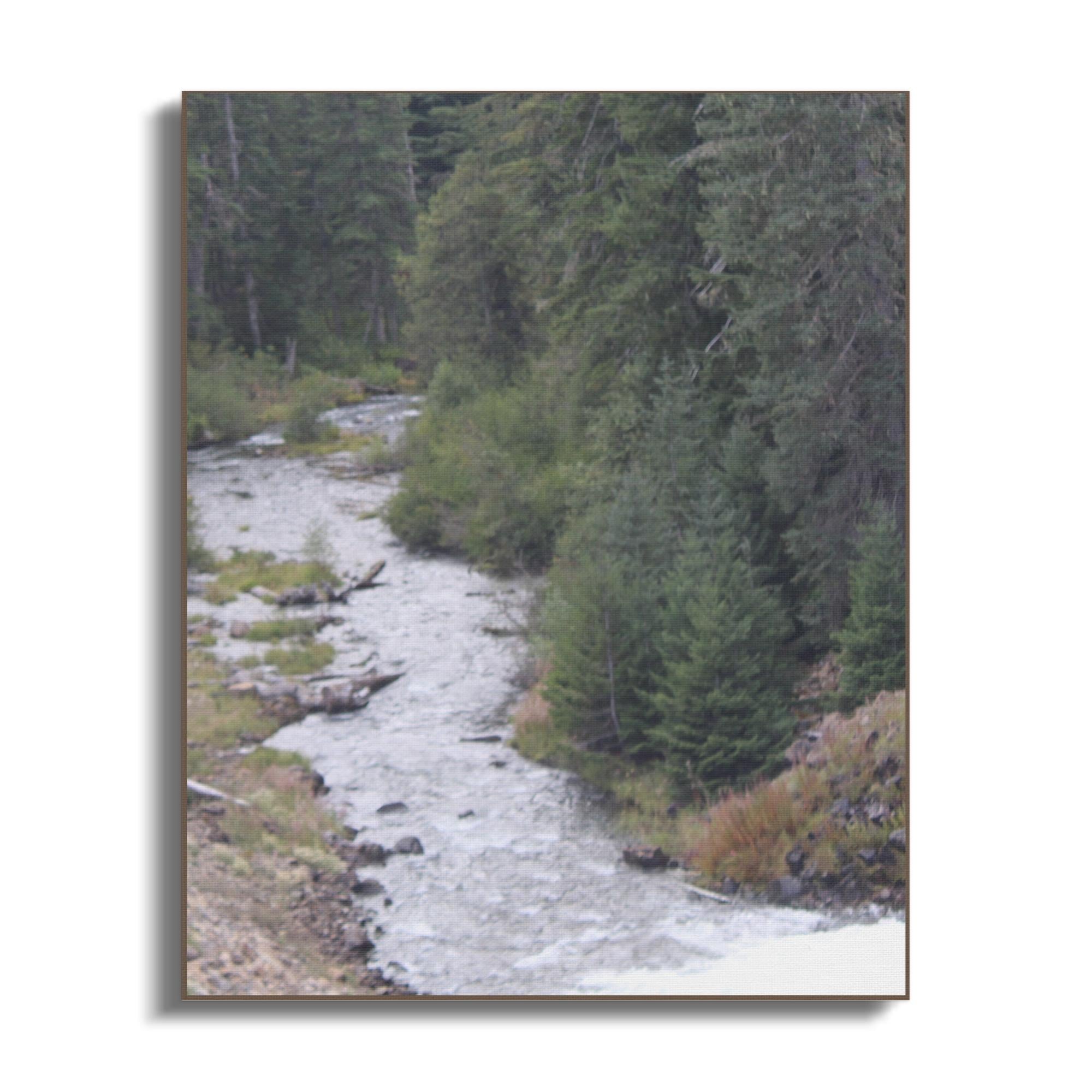 f5081938-3969-4408-9bd2-e1cca22b8177