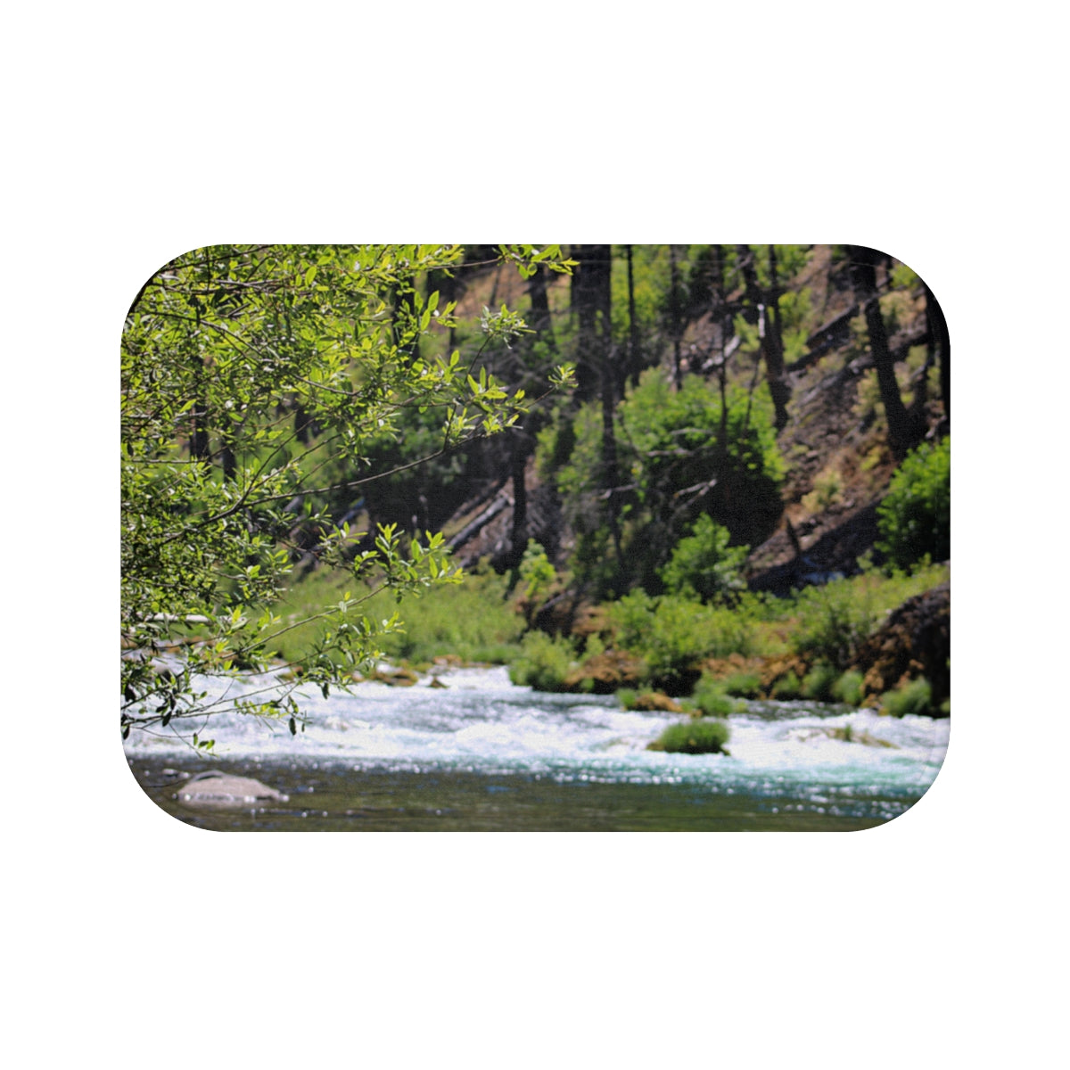Scenic Forest Stream Landscape Photography Print