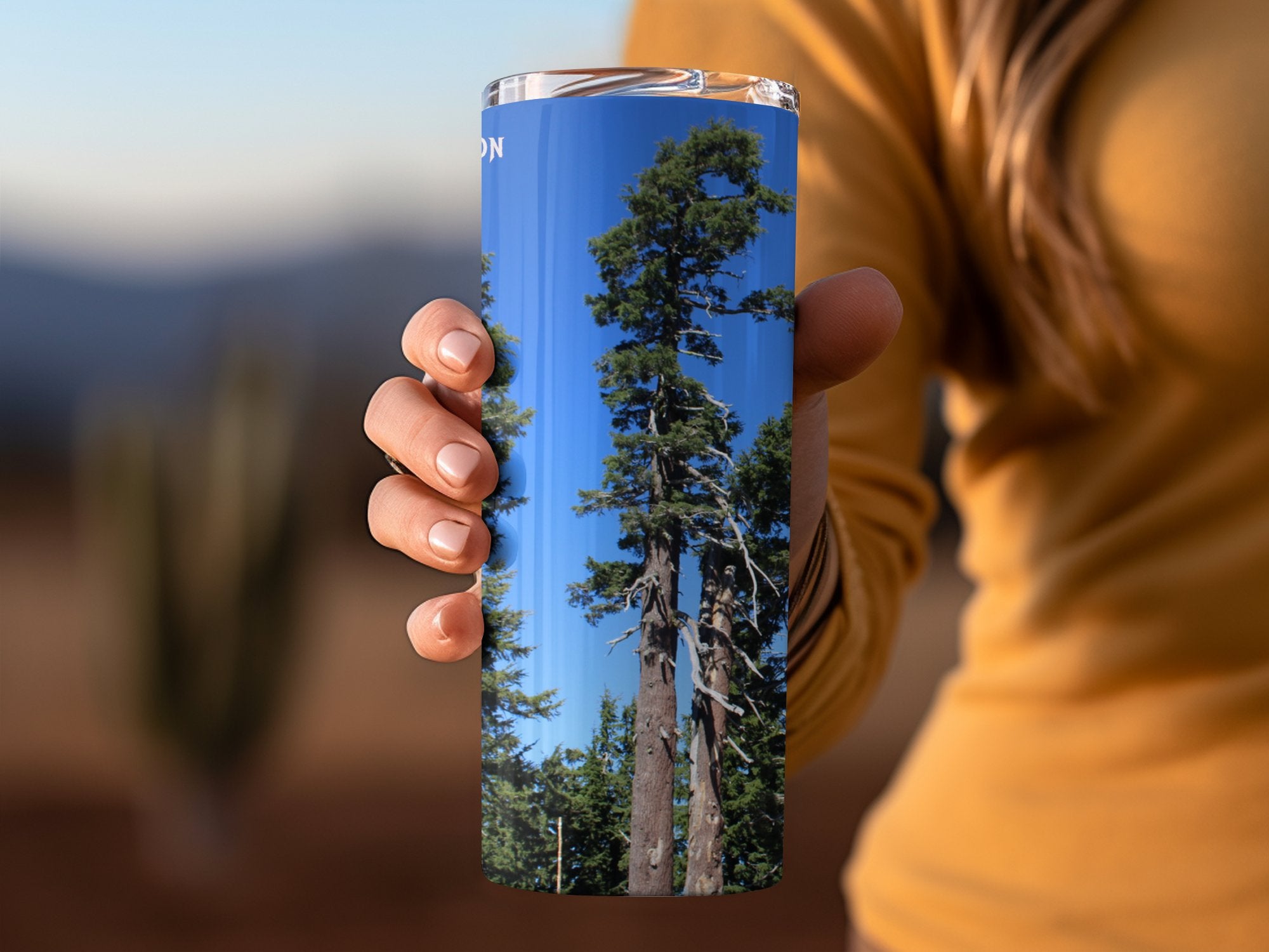 f5a09969-d40e-4b2d-b300-0e0427430108