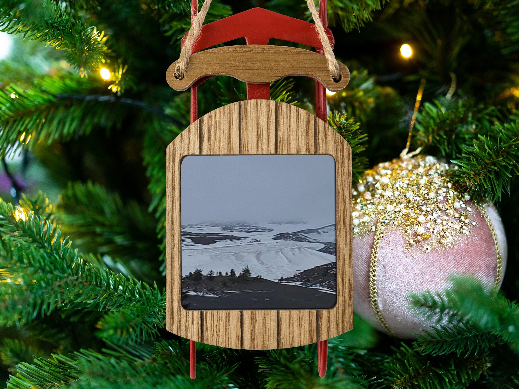 f610647f-29f2-46c4-9221-1e76d887360a