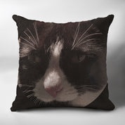 f64293cc-4d2a-4221-b634-ec51cfa7e1b8