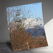 f6e31f36-b19f-4bd3-8bb1-0384c0b4c4d2