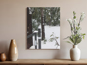 f80d095c-a853-46ea-81ac-e2950d619a95