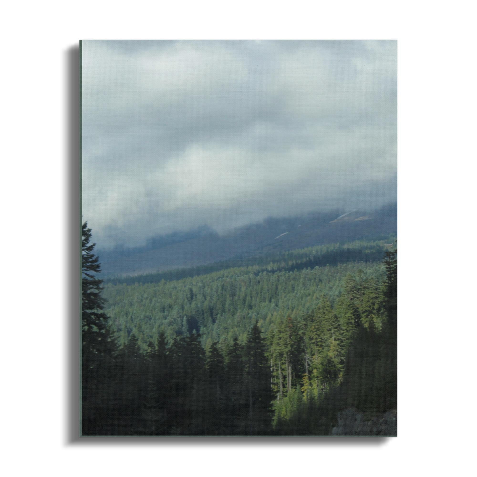 f80fd8ff-dc90-4222-a7ab-f74307c4af8b