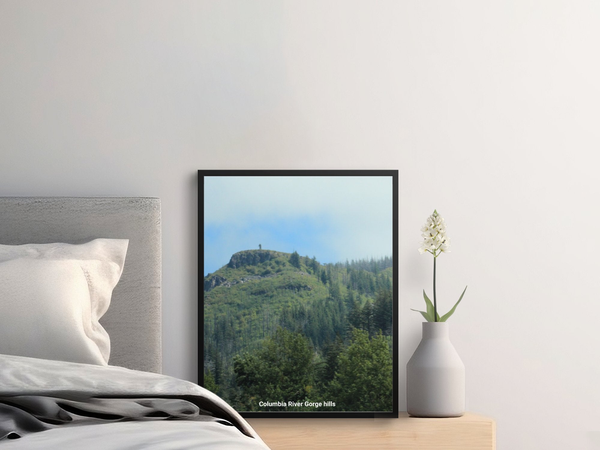 f88b19d2-2db5-4d9e-9f01-860503346c77