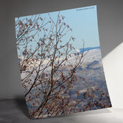 f8bcac02-e8ac-460b-9d92-d8906031a2e3