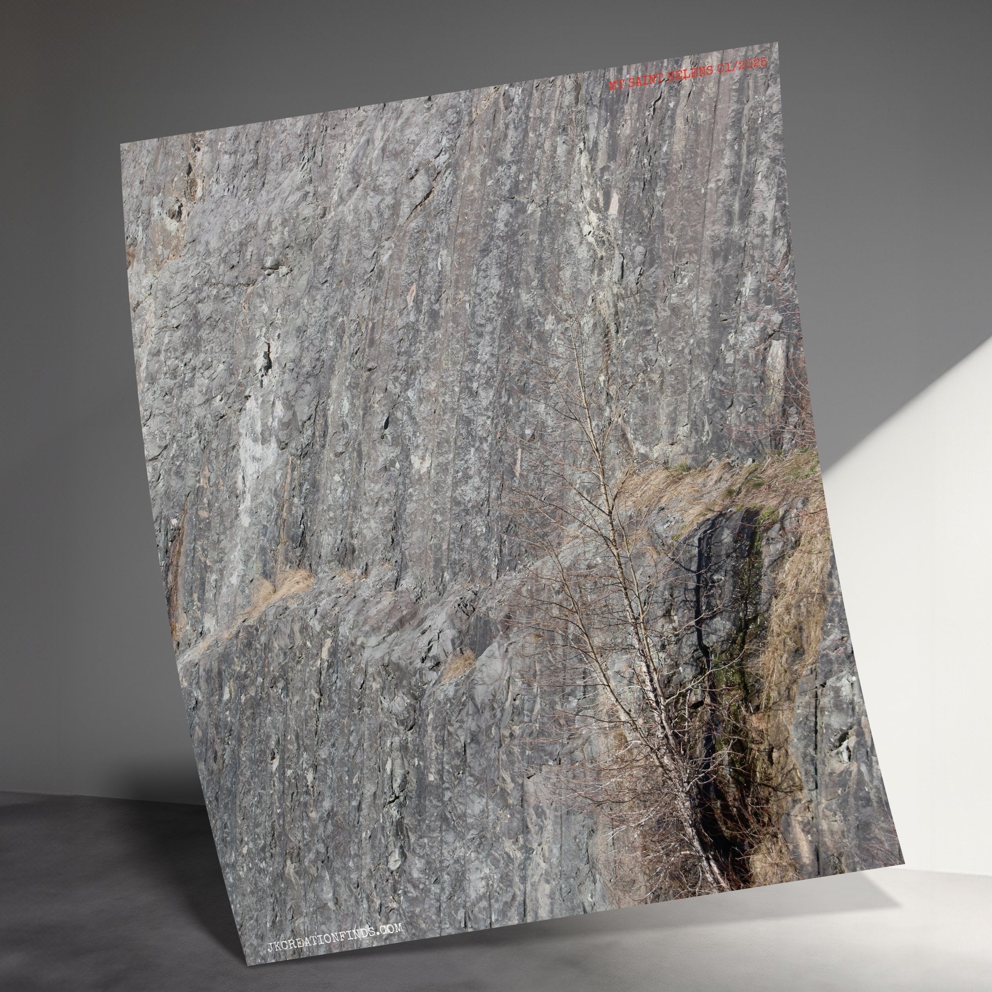 f8faffa2-4bb9-4b2b-a39b-08a0016c0f14