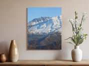 fa070375-da5a-4608-b29c-c27e231955e5