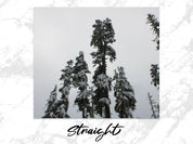 fac95b57-2d2d-44a1-ac4e-ffecfa902782