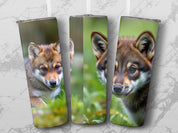 fbc7f119-3a53-4630-893b-2a9b0b774840