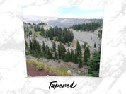 fc02354d-e029-4553-abac-a0e3157cfd29