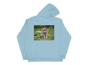 fc0d00e4-ffb2-4550-bd0b-446b3cd15014