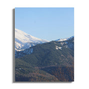 fc3ca1b4-1379-4646-8a26-06a01e12dc61