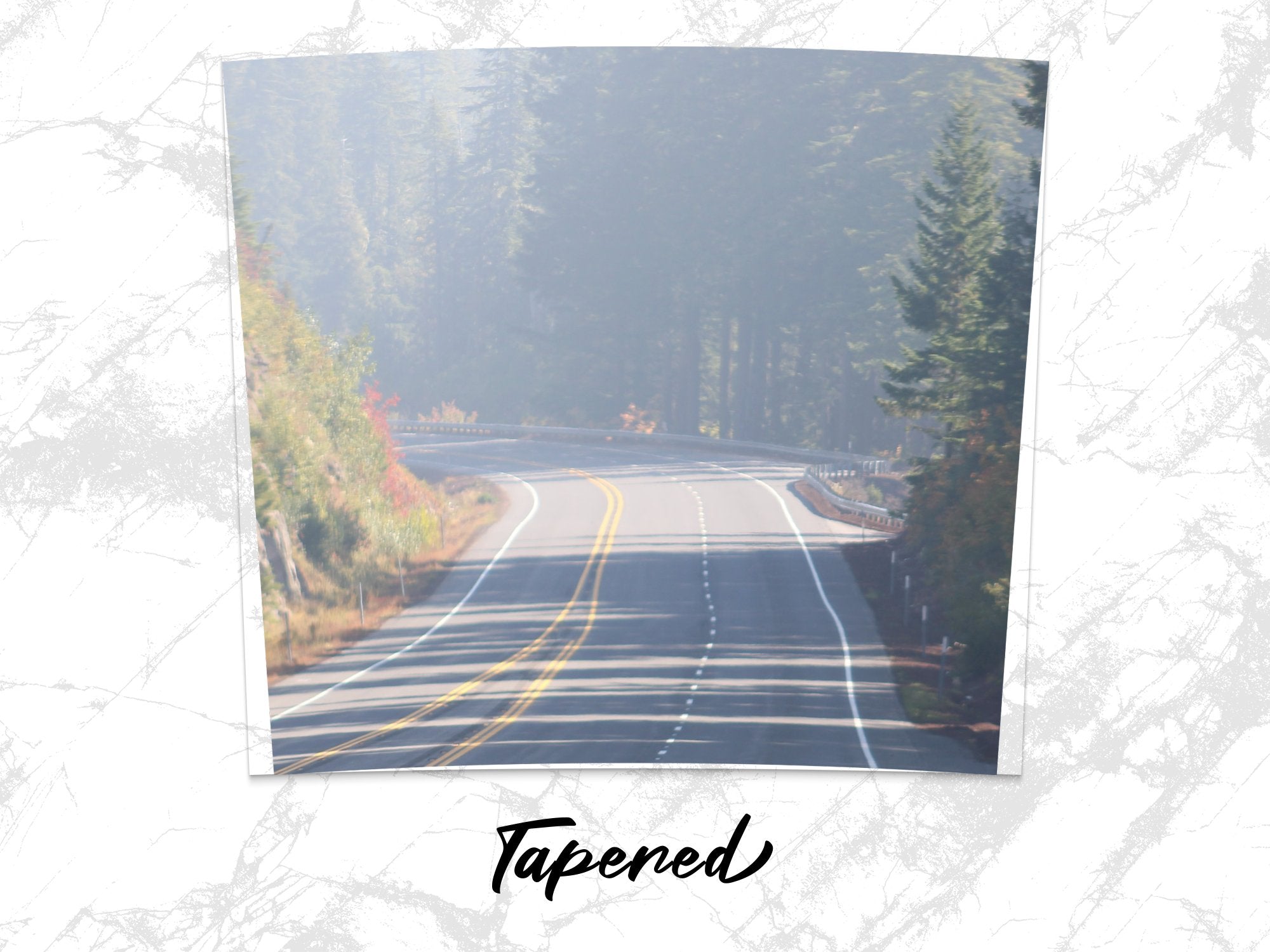 fc4c7506-8e9e-4401-a2ea-545dea69cf21