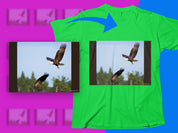 fc86069d-3393-4007-a3c1-6ebdfed98cf6