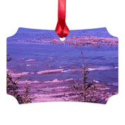 fc91a3ed-61de-4b91-be63-790519c2e136