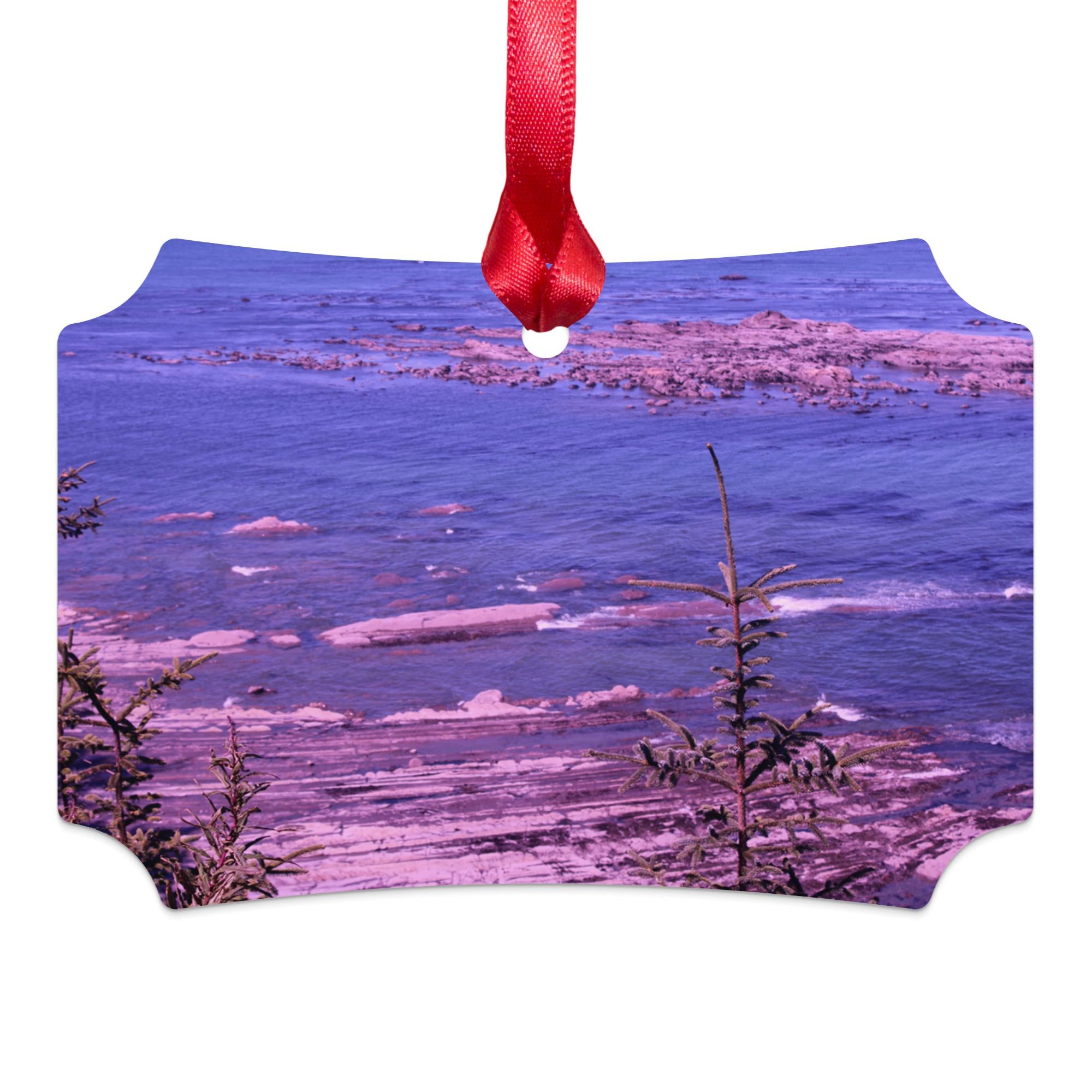 fc91a3ed-61de-4b91-be63-790519c2e136