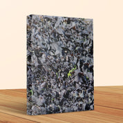 Detailed Nature Leaf Pattern Closeup Canvas Wall Art product