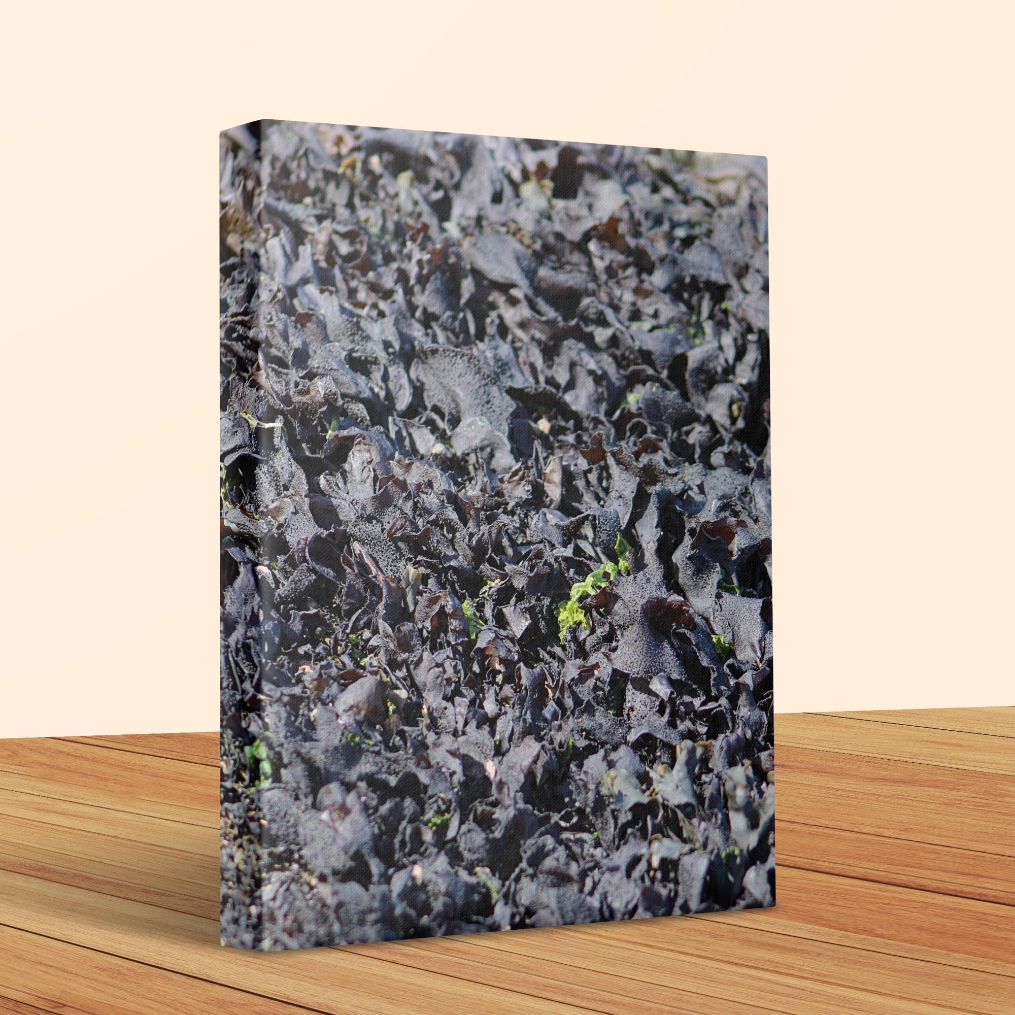 Detailed Nature Leaf Pattern Closeup Canvas Wall Art product